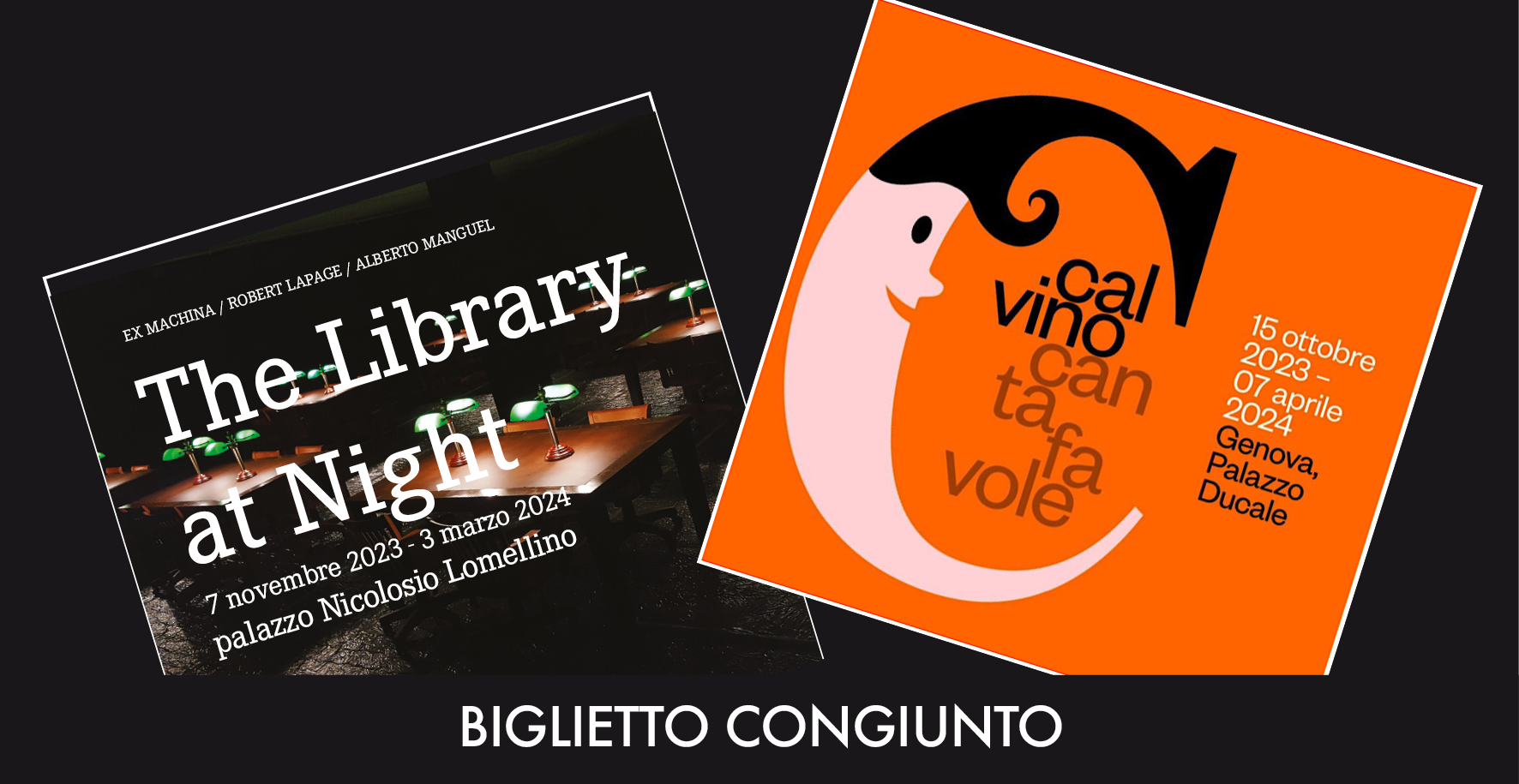 BIGLIETTO CONGIUNTO PER “CALVINO CANTAFAVOLE” E “LIBRARY AT NIGHT” eventi e mostre 3